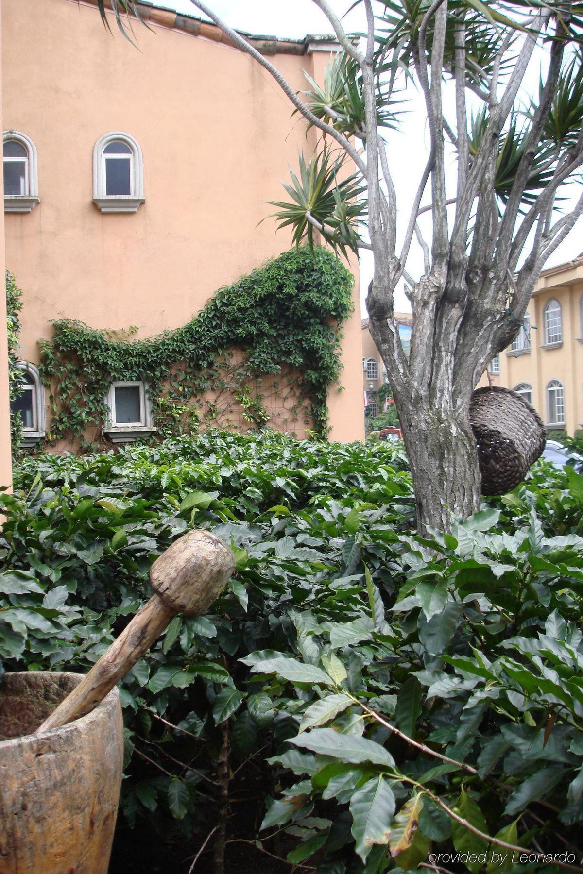 Casa Conde &